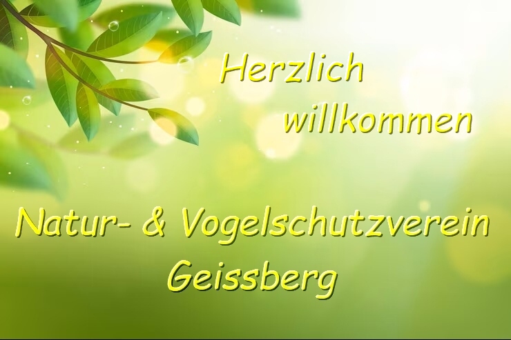 Neuer Titel