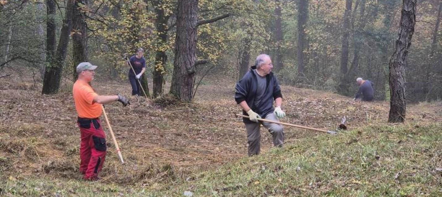 Arbeiten zur Pflege der Orchideen